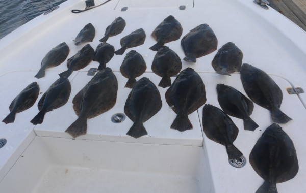 Several limits of Flounder