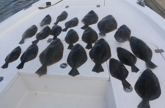 Several limits of Flounder
