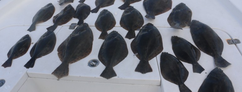 Several limits of Flounder