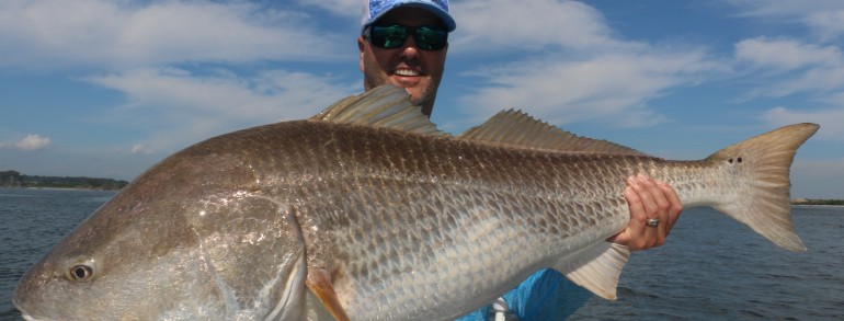 46 inch Bull Red