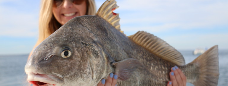 Perfect eating sized Black Drum