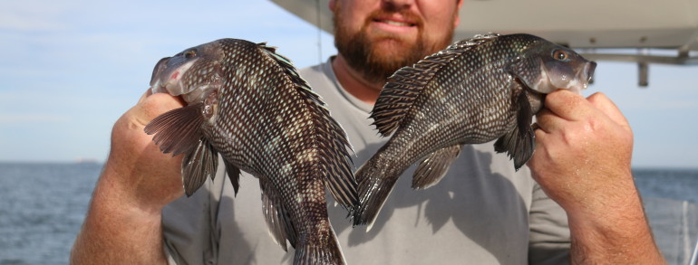 Kevin Range with a pair of keeper sized Mayport Inlet Sea Bass