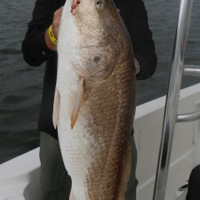 Ken with a real River Monster