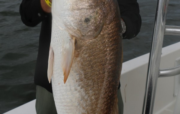 Ken with a real River Monster
