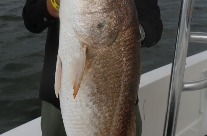 Ken with a real River Monster