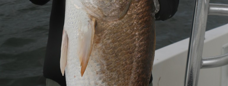 Ken with a real River Monster