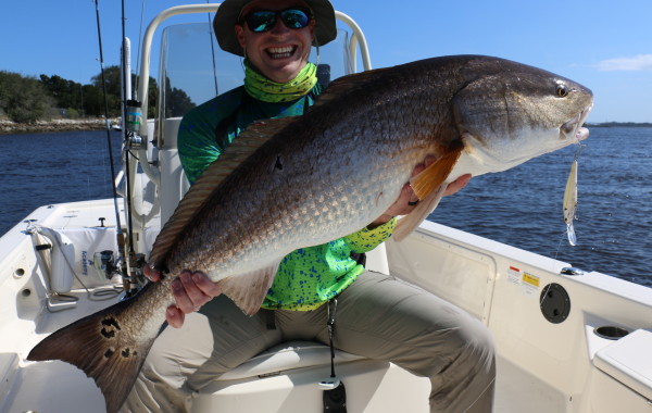 43 inch Bull Red on a crank bait