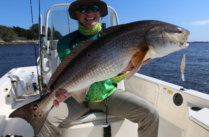 43 inch Bull Red on a crank bait