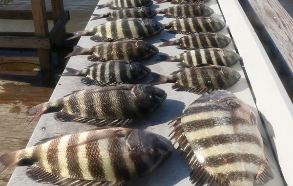 These guys will be feeding the masses