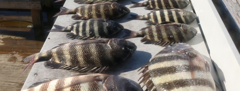These guys will be feeding the masses
