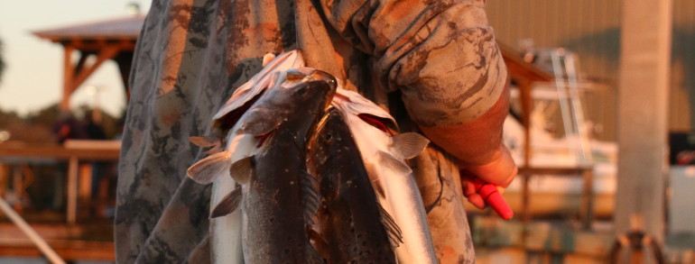 A stringer full of Trout