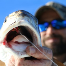 This River Pumpkin inhaled a Rapala XRap