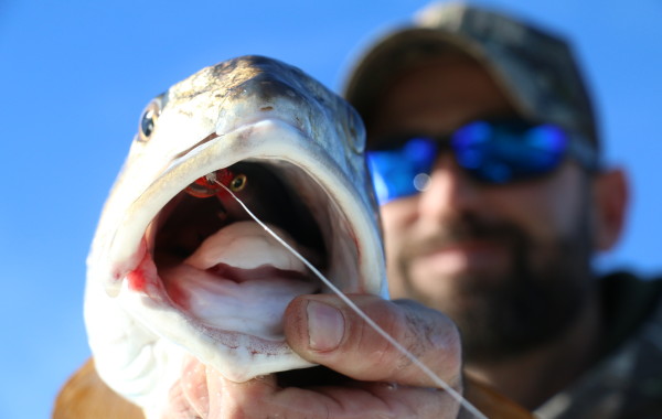 This River Pumpkin inhaled a Rapala XRap