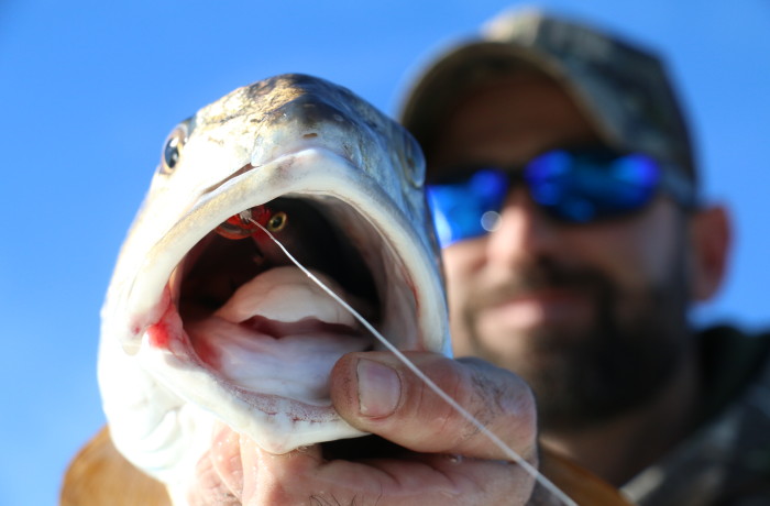 This River Pumpkin inhaled a Rapala XRap