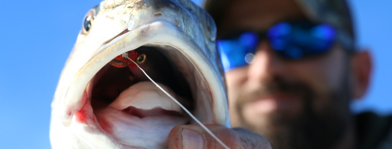 This River Pumpkin inhaled a Rapala XRap