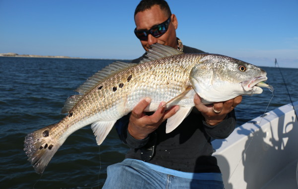 Spotted River Pumpkin on the Rapala XRap