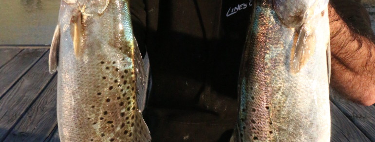 Jonathan clark with a pair of monster Gators