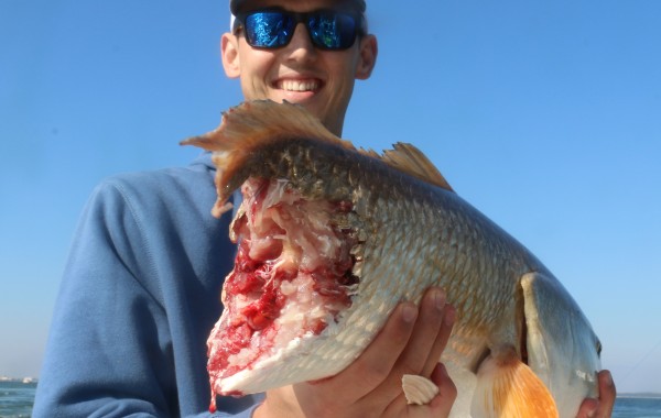 The man in the grey suit paid us a visit.