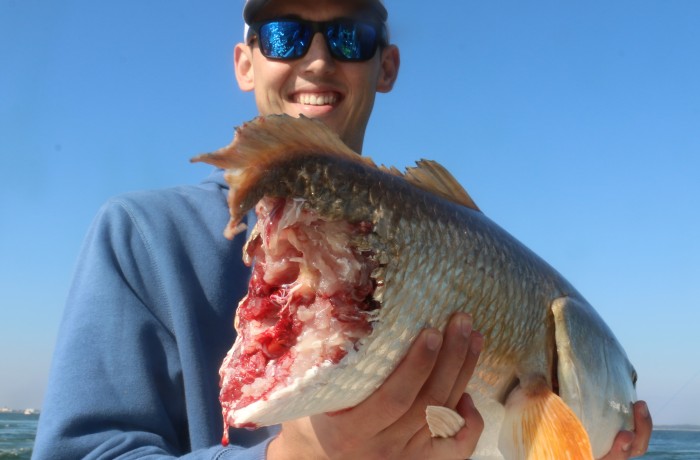 The man in the grey suit paid us a visit.