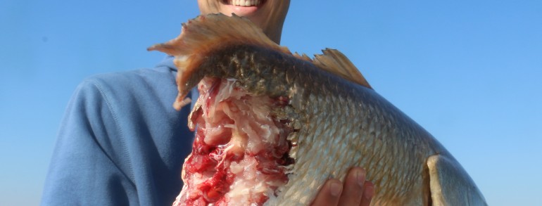 The man in the grey suit paid us a visit.