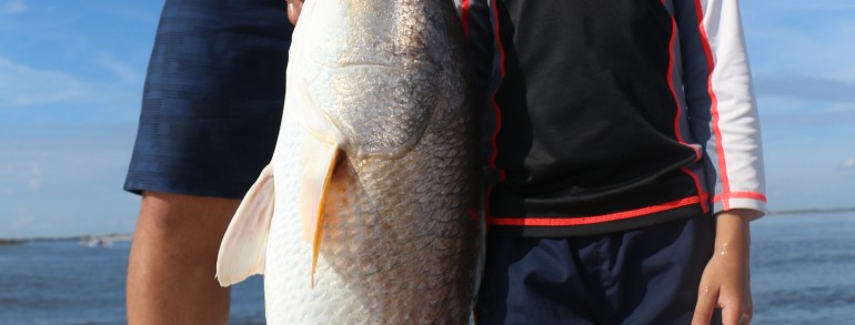 This little guy caught a Red as big as he is!