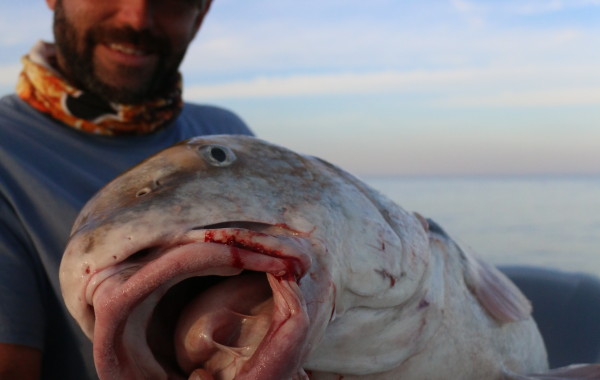 Jonathan Clark with a giant Black Drum