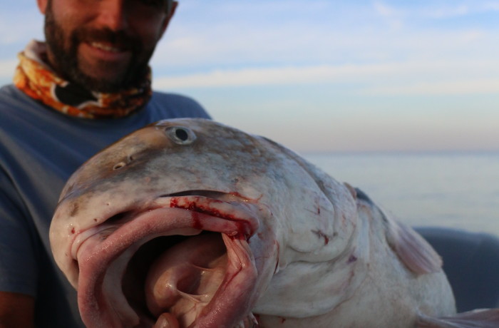 Jonathan Clark with a giant Black Drum