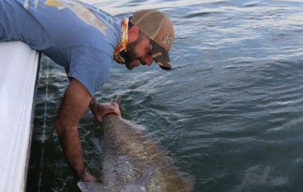 Jonathan releasing a true river monster