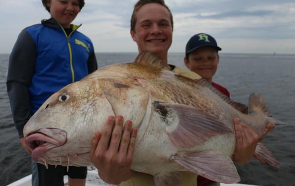 The struggle is real