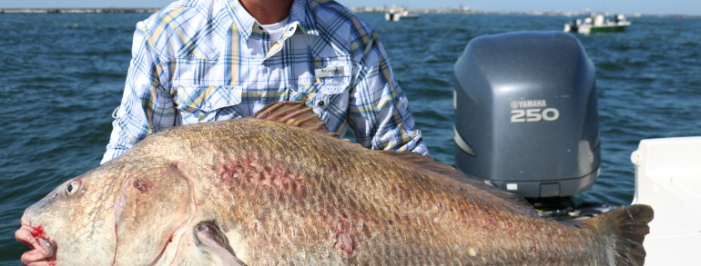 Chris Topher with an absolute monster
