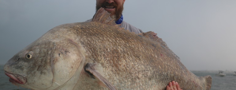 Rob Chapman of 360 Outdoors with a healthy Black Drum