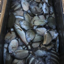 A loaded down dock cart