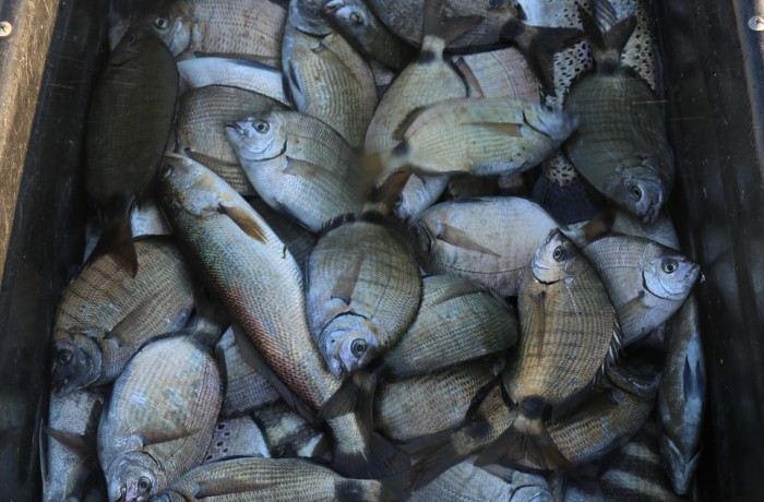 A loaded down dock cart