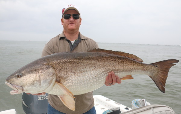 45 inch River Donkey