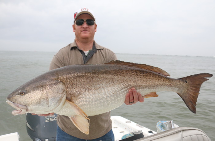 45 inch River Donkey