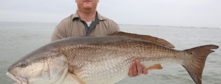 45 inch River Donkey