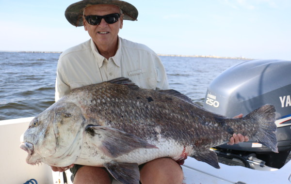 Joe Lurix with a giant Black Drum