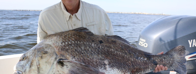 Joe Lurix with a giant Black Drum