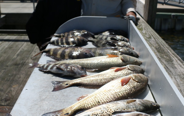 Joe and Beverly Lurix with a freezer full