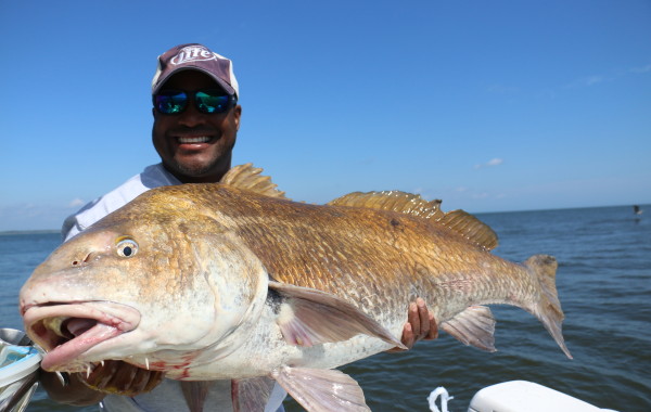 The struggle is real