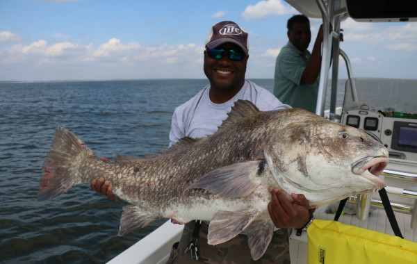 Monster Black Drum