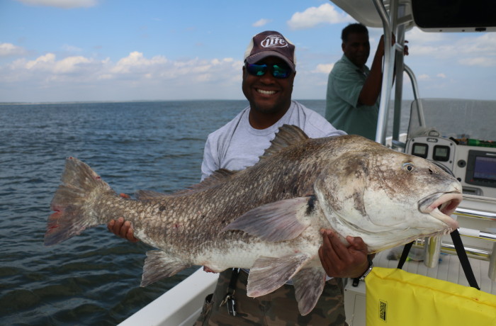 Monster Black Drum