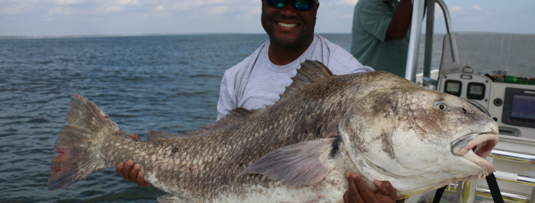 Monster Black Drum