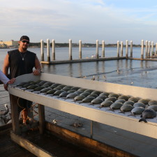 Cleaning table covered in great eats