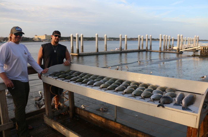 Cleaning table covered in great eats
