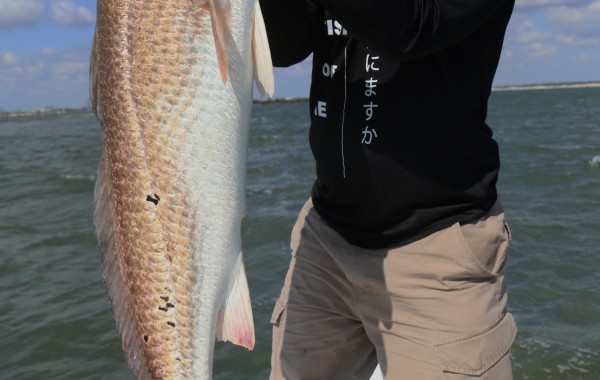 Mike with A Bull long as he is …. Not sure if thats impressive lol