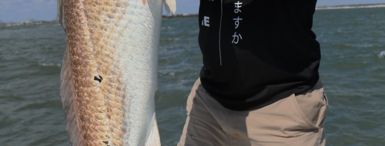 Mike with A Bull long as he is …. Not sure if thats impressive lol