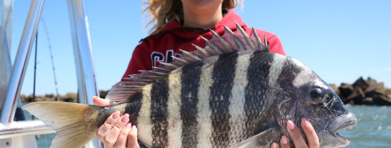 Ashley with a solid 9 pound Sheepshead