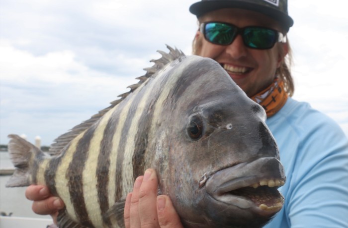 Chris Topher with a chunk of a Sheepshead