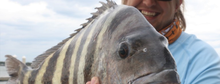 Chris Topher with a chunk of a Sheepshead